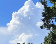 梓官天气预报,梓官7天天气预报,梓官15天天气预报,梓官天气查询